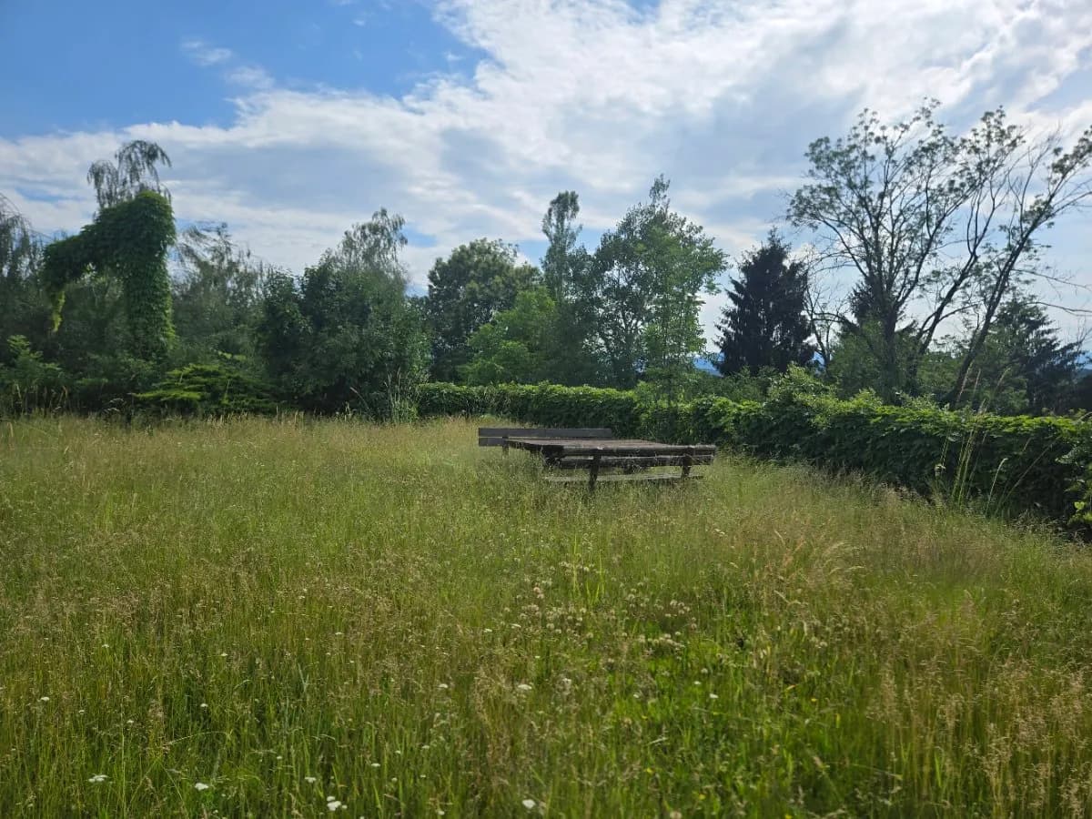 Haus kaufen in Leibnitz – 180 m², € 499.000 – Bild 6 von 18
