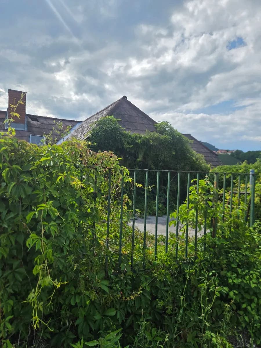 Haus kaufen in Leibnitz – 180 m², € 499.000 – Bild 7 von 18