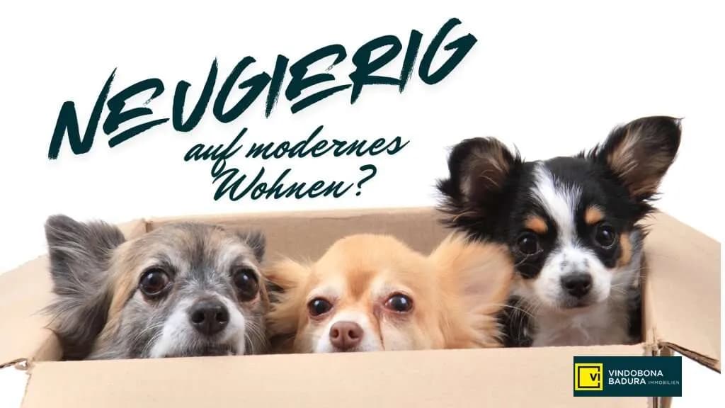 Wohnung kaufen in Wien – € 281.000