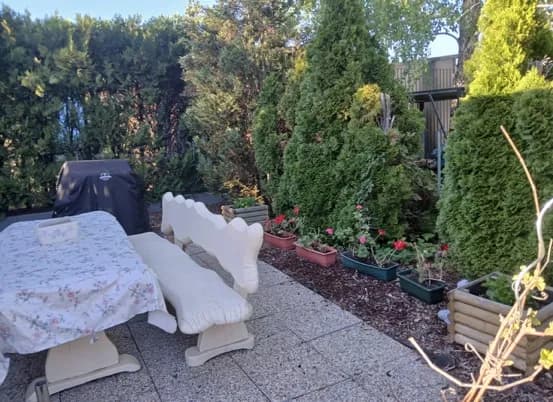 Grundstück mieten in Wiener Neustadt Land – 600 m², € 2.920 – Bild 3 von 9
