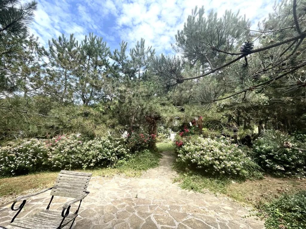 Haus kaufen in Güssing – 58,91 m², € 349.000 – Bild 28 von 62