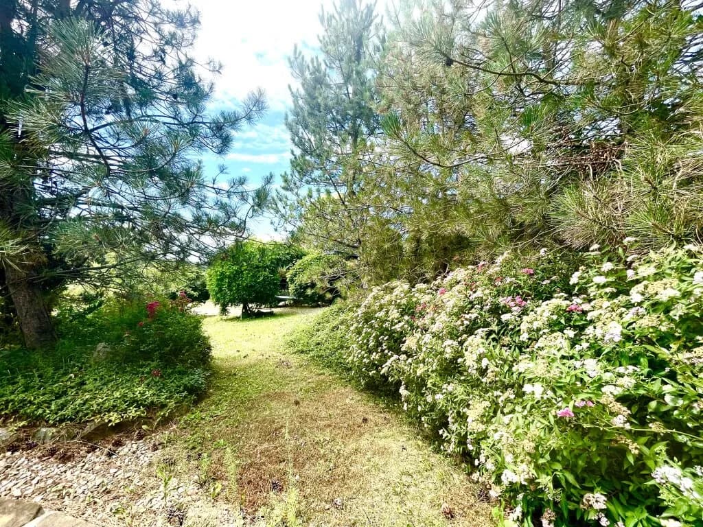 Haus kaufen in Güssing – 58,91 m², € 349.000 – Bild 36 von 62