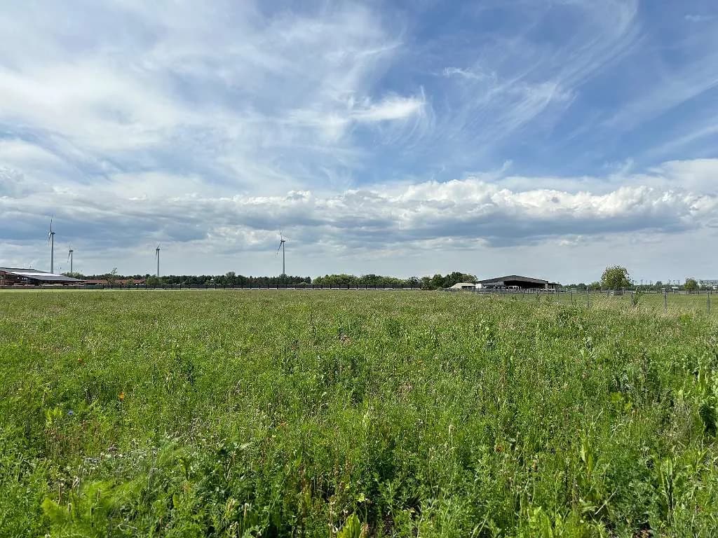 Grundstück kaufen in Baden – 20 501 m², € 650.000 – Bild 3 von 4