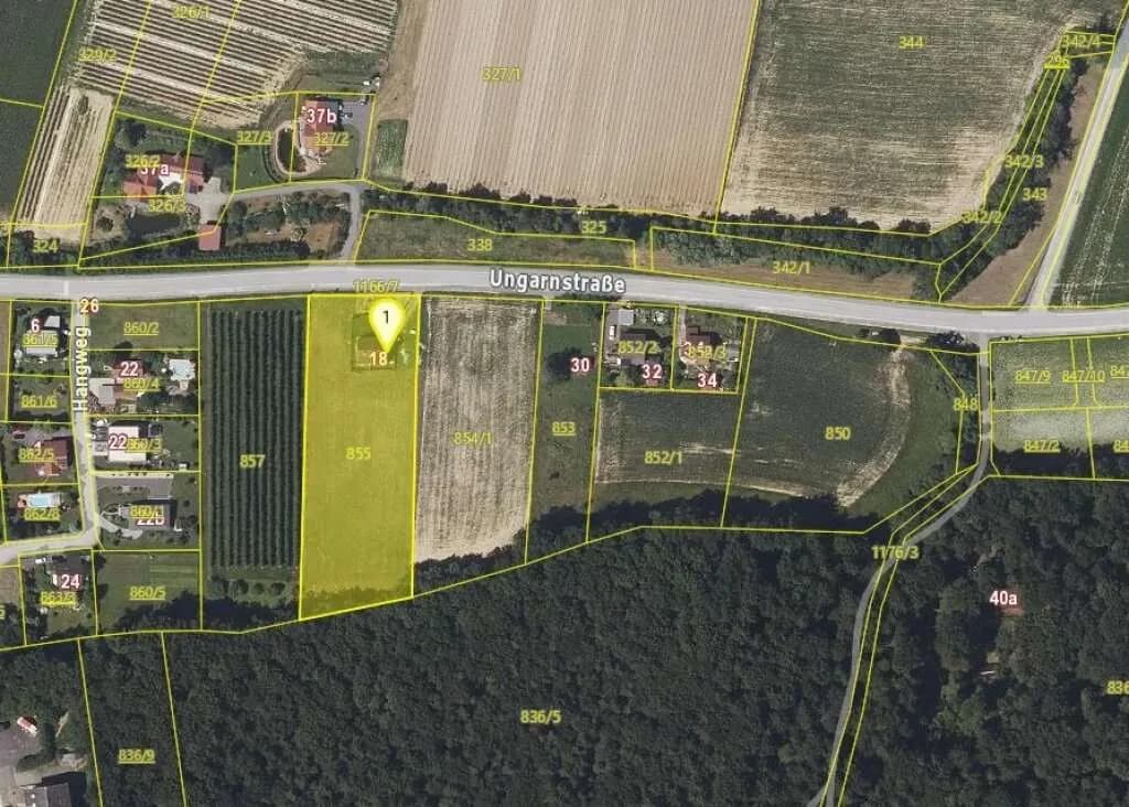 Grundstück kaufen in Südoststeiermark – 3 000 m² – Bild 3 von 3