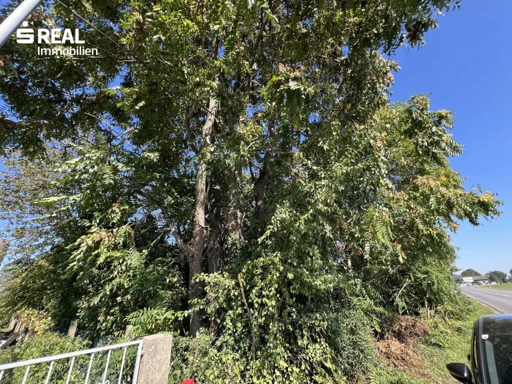 Grundstück kaufen in Gänserndorf – 1 191 m², € 249.000