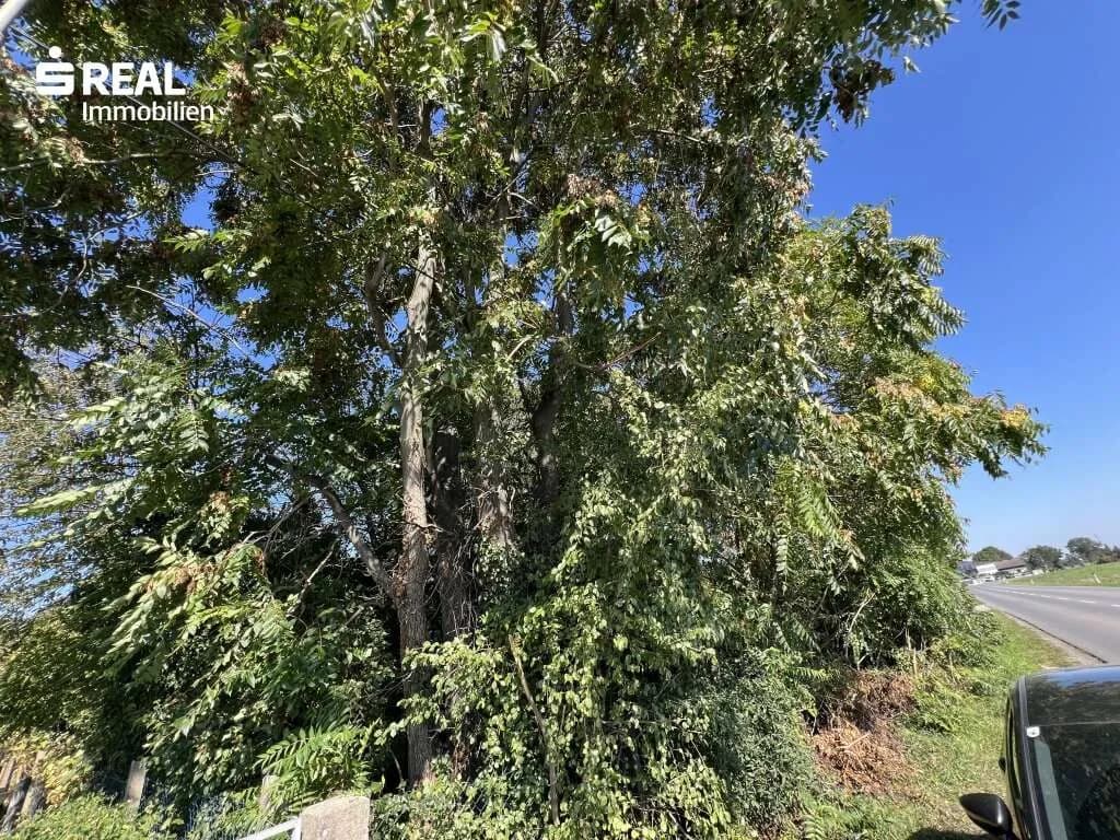 Grundstück kaufen in Gänserndorf – 1 191 m², € 249.000 – Bild 5 von 8