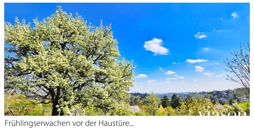 4-Zimmer-Wohnung kaufen in Wien – 150,31 m², € 849.900 – Bild 75 von 77