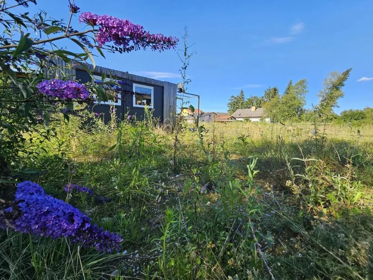 Grundstück kaufen in Völkermarkt – 3 218 m², € 315.000 – Bild 15 von 17