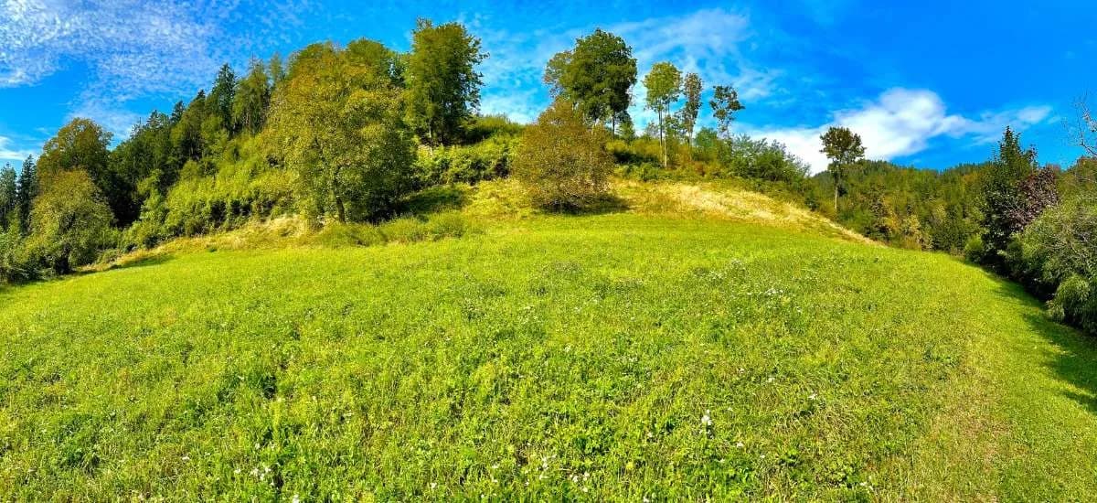 Grundstück kaufen in Graz-Umgebung – 1 000 m², € 125.000 – Bild 4 von 8
