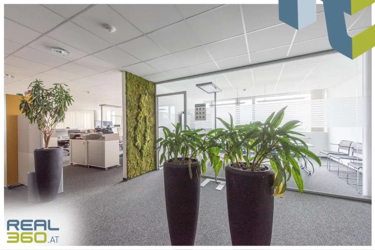 3-Zimmer-Gewerbeimmobilie mieten in Linz – 274 m², € 3.446 – Bild 7 von 11