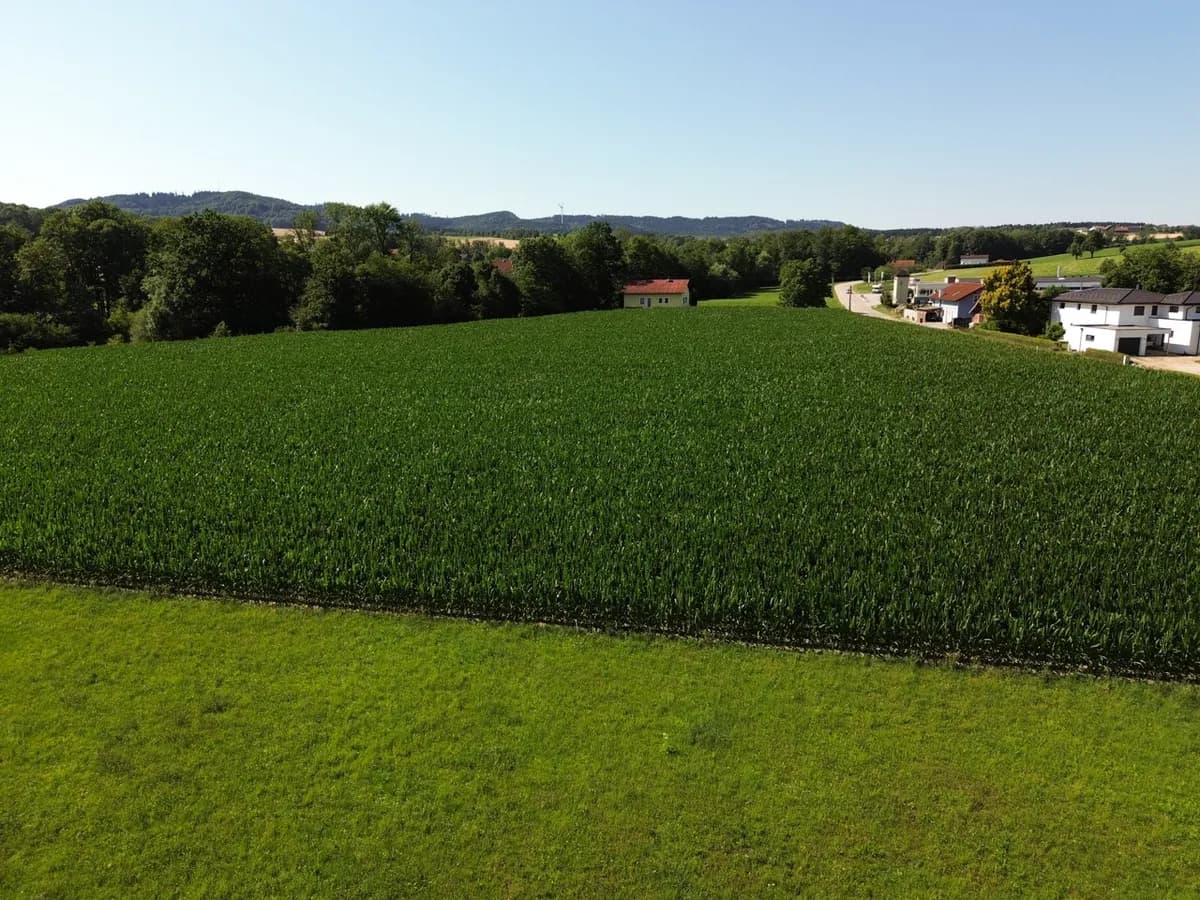 5-Zimmer-Haus kaufen in Grieskirchen – 124 m², € 419.000 – Bild 19 von 20