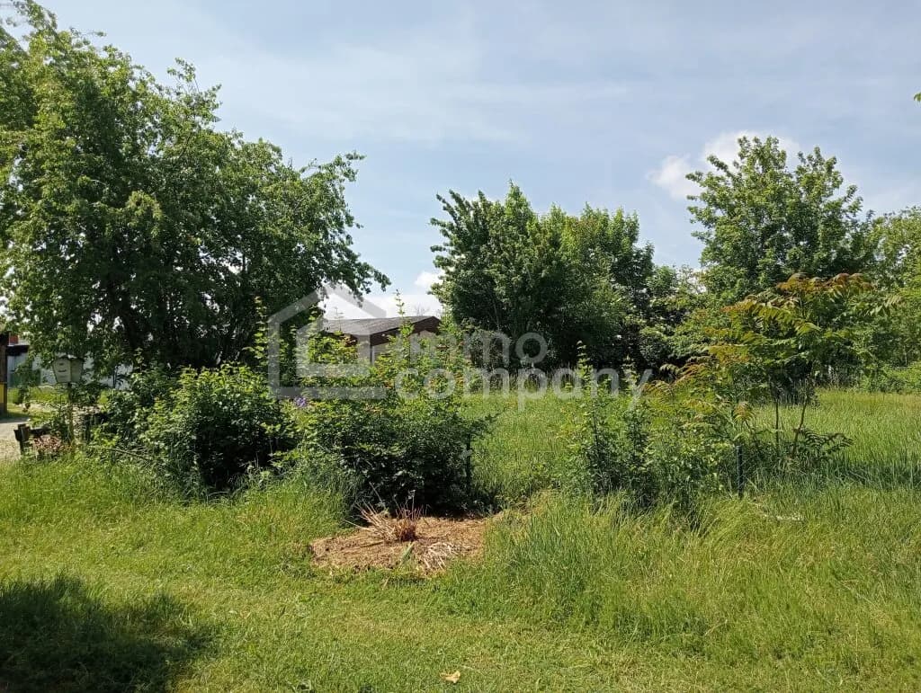 Immobilie kaufen in Neusiedl am See – 3 451 m², € 498.000 – Bild 2 von 4