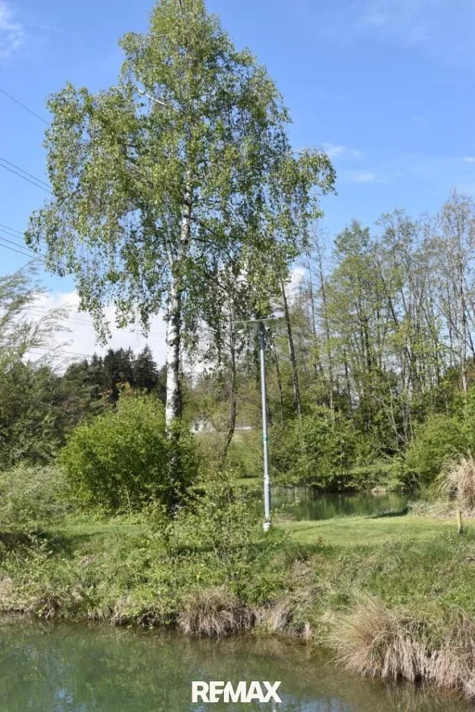 3-Zimmer-Grundstück kaufen in Klagenfurt Land – 19 257 m², € 260.000 – Bild 33 von 38