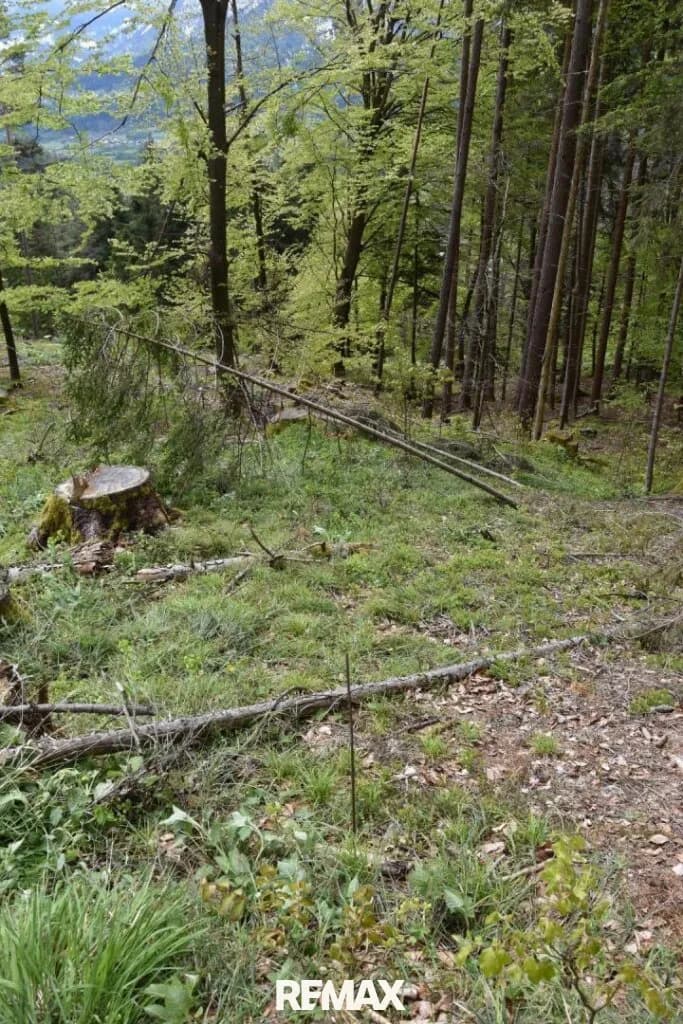 3-Zimmer-Grundstück kaufen in Klagenfurt Land – 19 257 m², € 260.000 – Bild 38 von 38