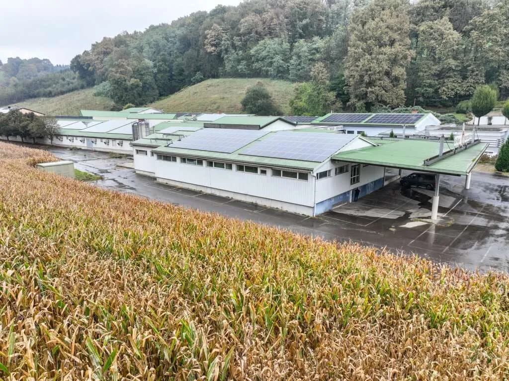 Gewerbeimmobilie mieten in Südoststeiermark – 3 527 m² – Bild 2 von 27
