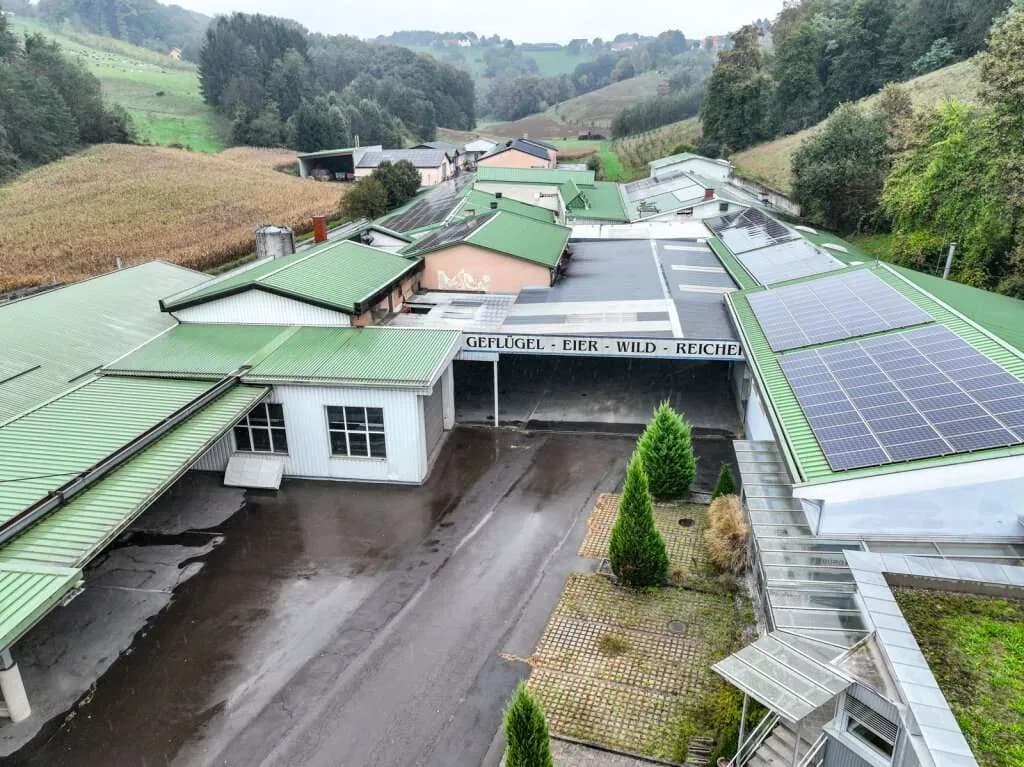 Gewerbeimmobilie mieten in Südoststeiermark – 3 527 m² – Bild 4 von 27