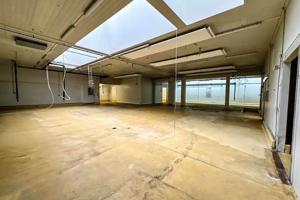 Gewerbeimmobilie mieten in Südoststeiermark – 3 527 m² – Bild 13 von 27