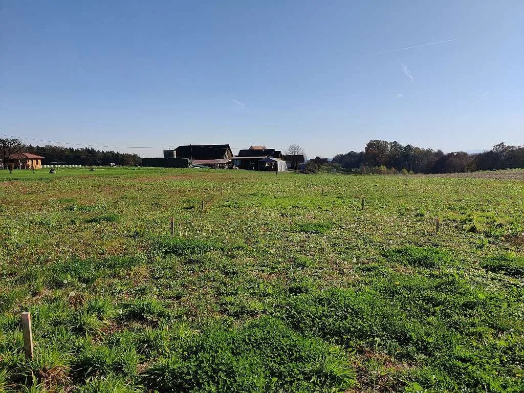 Grundstück kaufen in Deutschlandsberg – 1 391 m², € 151.712 – Bild 3 von 3