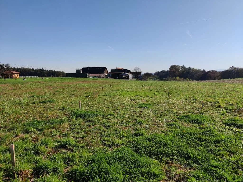 Grundstück kaufen in Deutschlandsberg – 834 m², € 110.238 – Bild 2 von 4