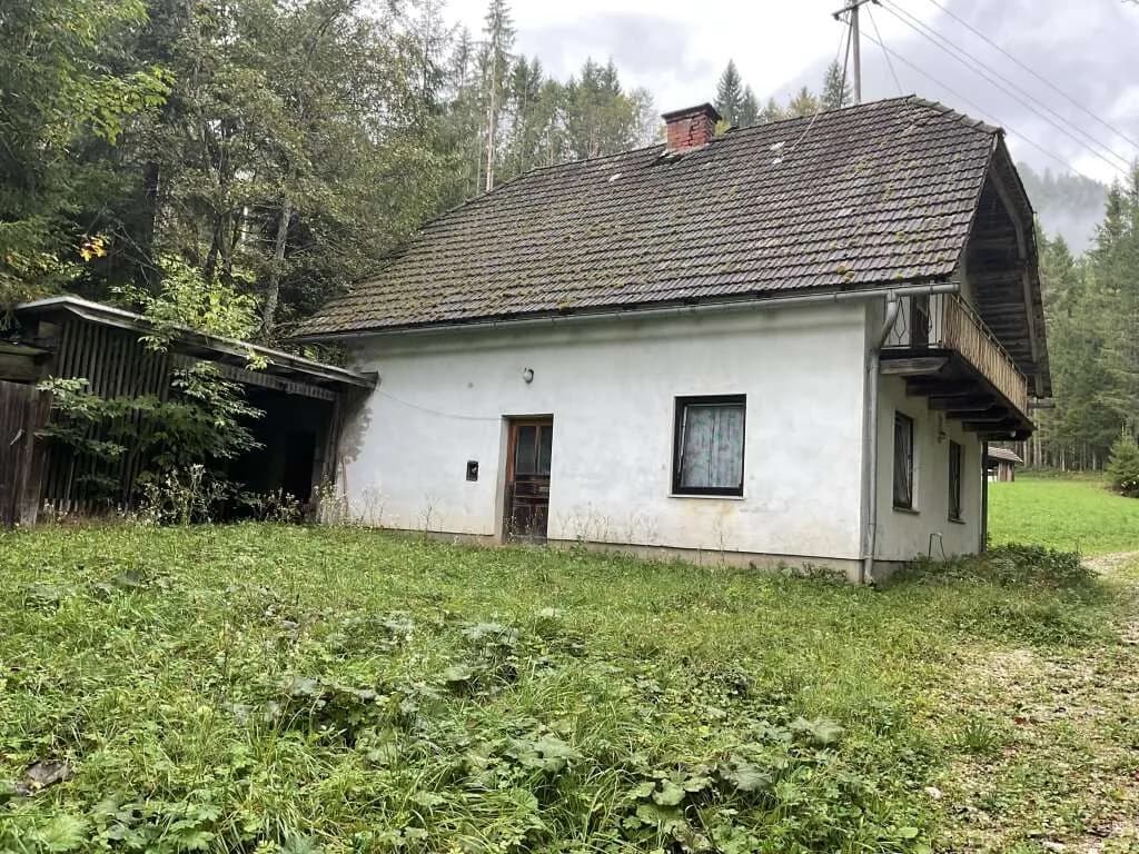 Immobilie kaufen in Völkermarkt – 18 800 m², € 250.000 – Bild 3 von 10