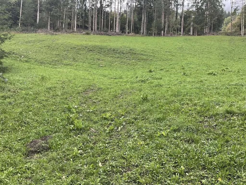 Immobilie kaufen in Völkermarkt – 18 800 m², € 250.000 – Bild 6 von 10