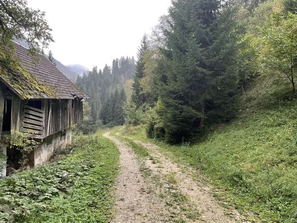 Immobilie kaufen in Völkermarkt – 18 800 m², € 250.000 – Bild 7 von 10