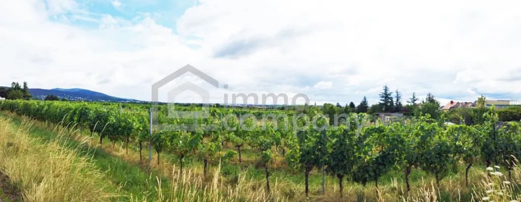 Grundstück kaufen in Baden – 1 100 m², € 697.000 – Bild 4 von 6