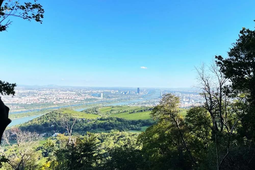 9-Zimmer-Immobilie mieten in Wien – 430 m², € 8.250 – Bild 10 von 11