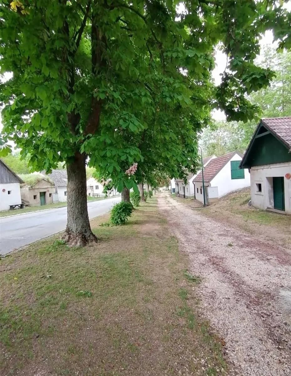 Immobilie kaufen in Mistelbach – 85 m², € 39.900 – Bild 4 von 6