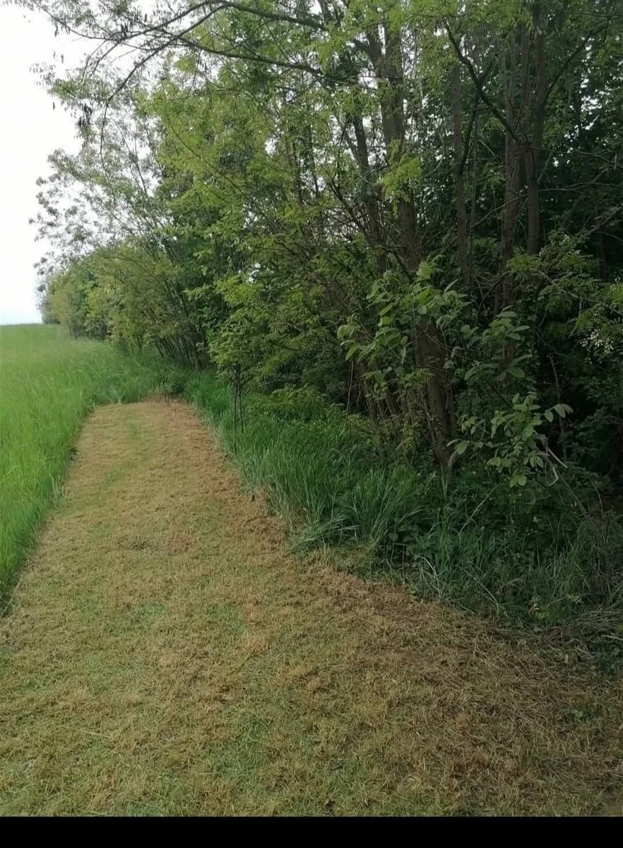 Immobilie kaufen in Mistelbach – 85 m², € 39.900 – Bild 6 von 6