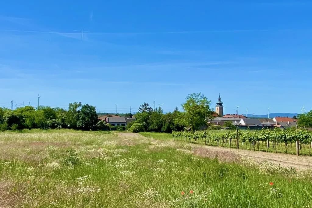 4-Zimmer-Immobilie kaufen in Mistelbach – 198 m², € 790.000 – Bild 28 von 37