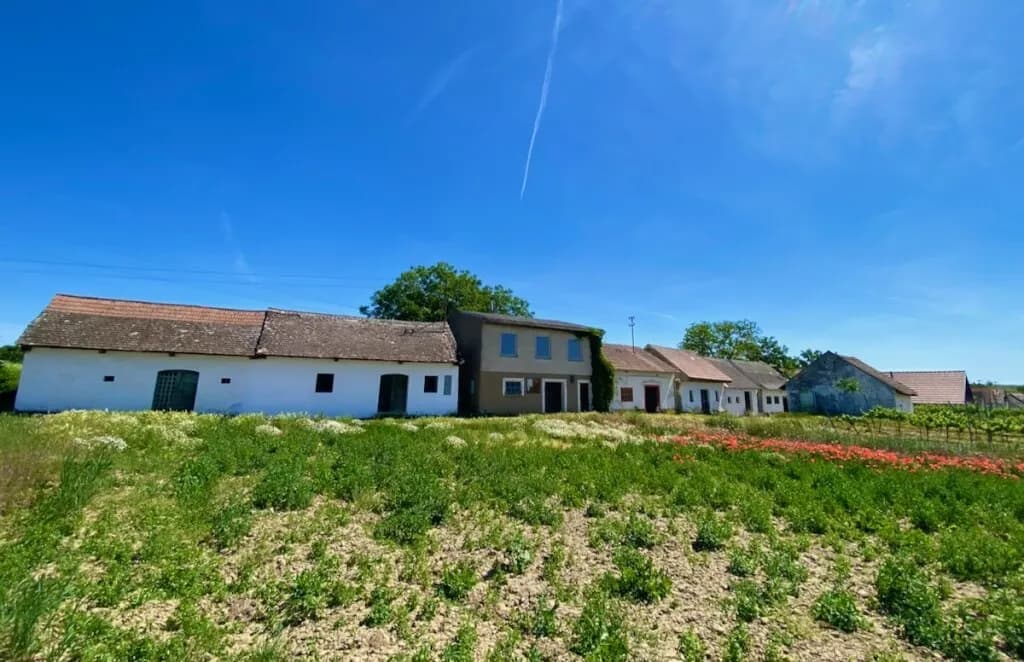 4-Zimmer-Immobilie kaufen in Mistelbach – 198 m², € 790.000 – Bild 29 von 37