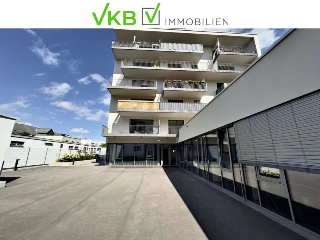 Gewerbeimmobilie mieten in Wels – 53 m², € 743 – Bild 2 von 9