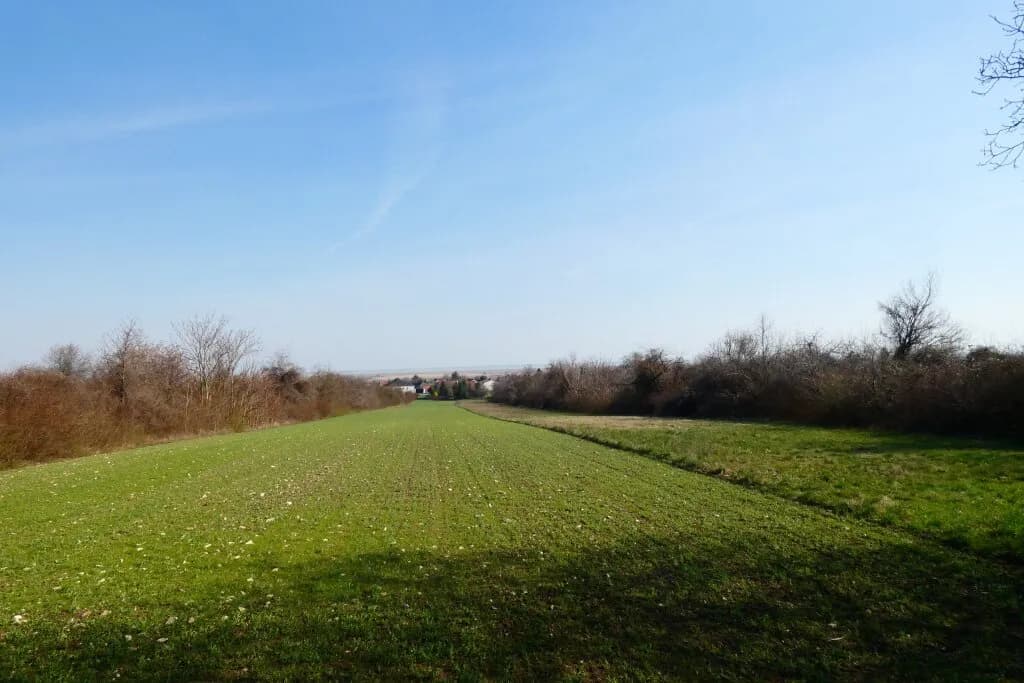 Grundstück kaufen in Eisenstadt - Umgebung – 5 788 m², € 650.000
