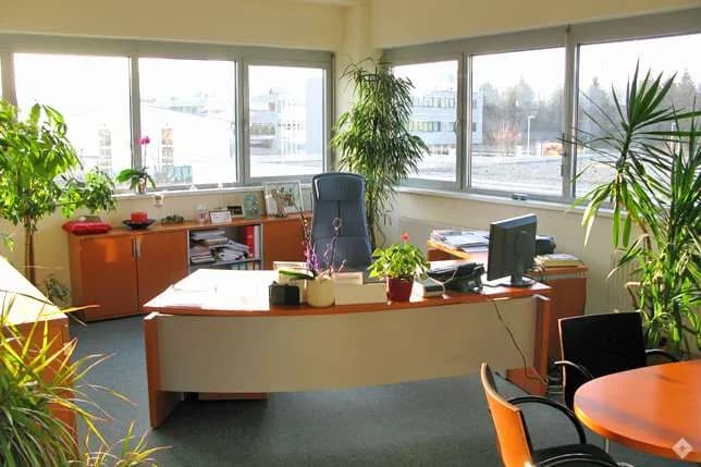 Gewerbeimmobilie mieten in Salzburg-Umgebung – 666 m², € 8.042 – Bild 2 von 6