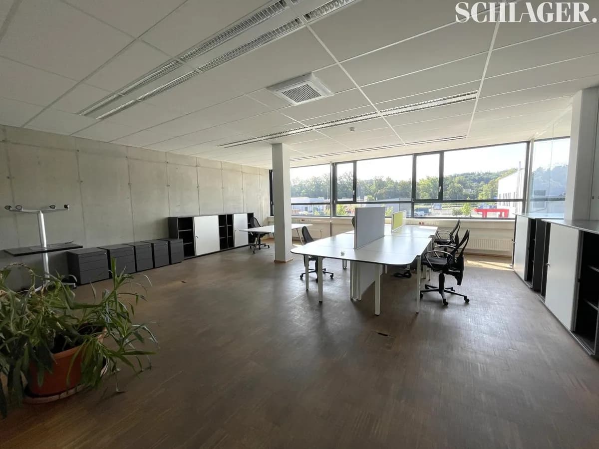 Immobilie kaufen in Deutschlandsberg – 3 692 m² – Bild 10 von 13