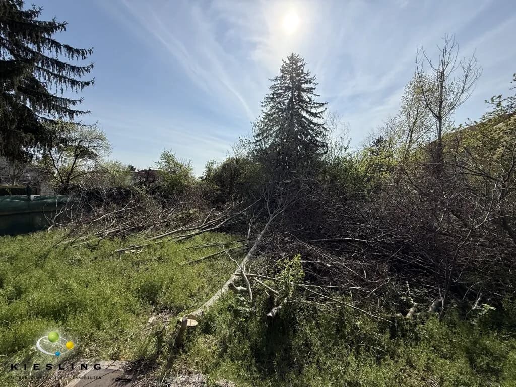Grundstück kaufen in Mödling – 1 000 m², € 999.000 – Bild 2 von 9