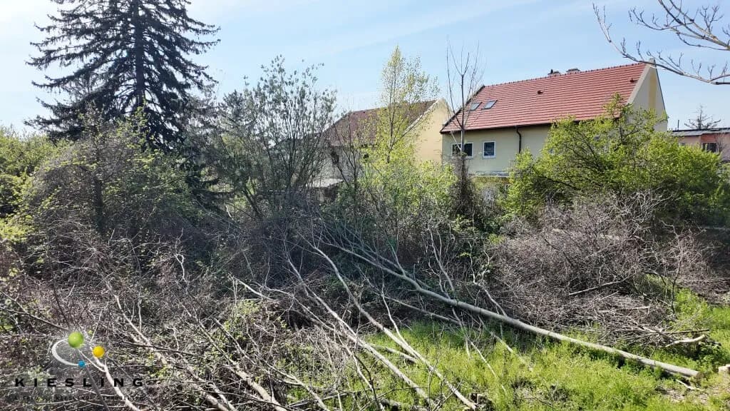 Grundstück kaufen in Mödling – 1 000 m², € 999.000 – Bild 4 von 9