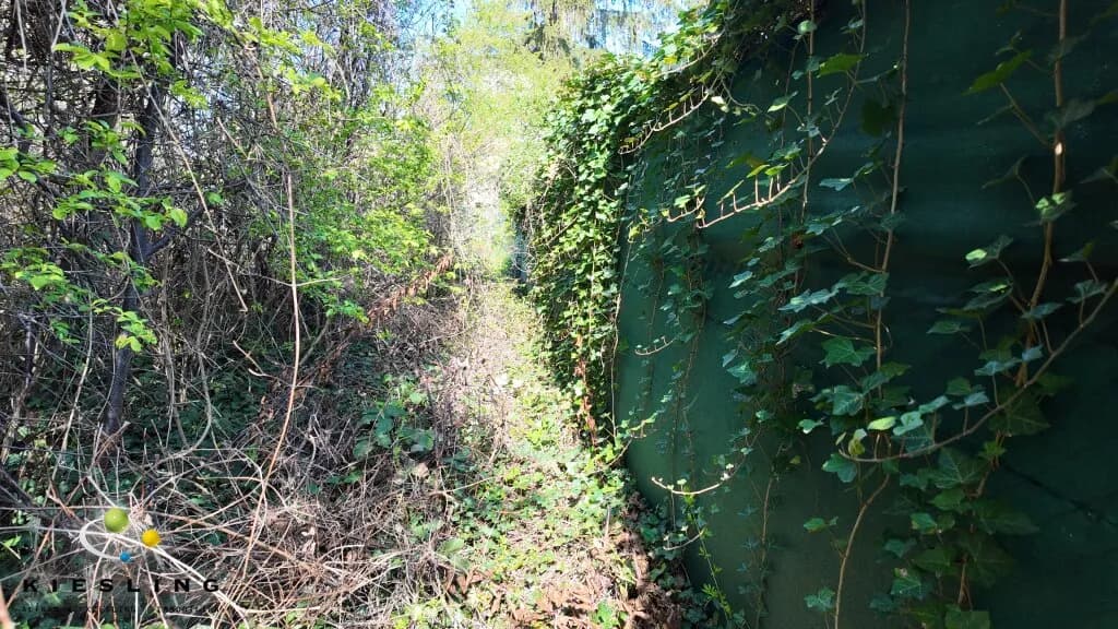 Grundstück kaufen in Mödling – 1 000 m², € 999.000 – Bild 8 von 9