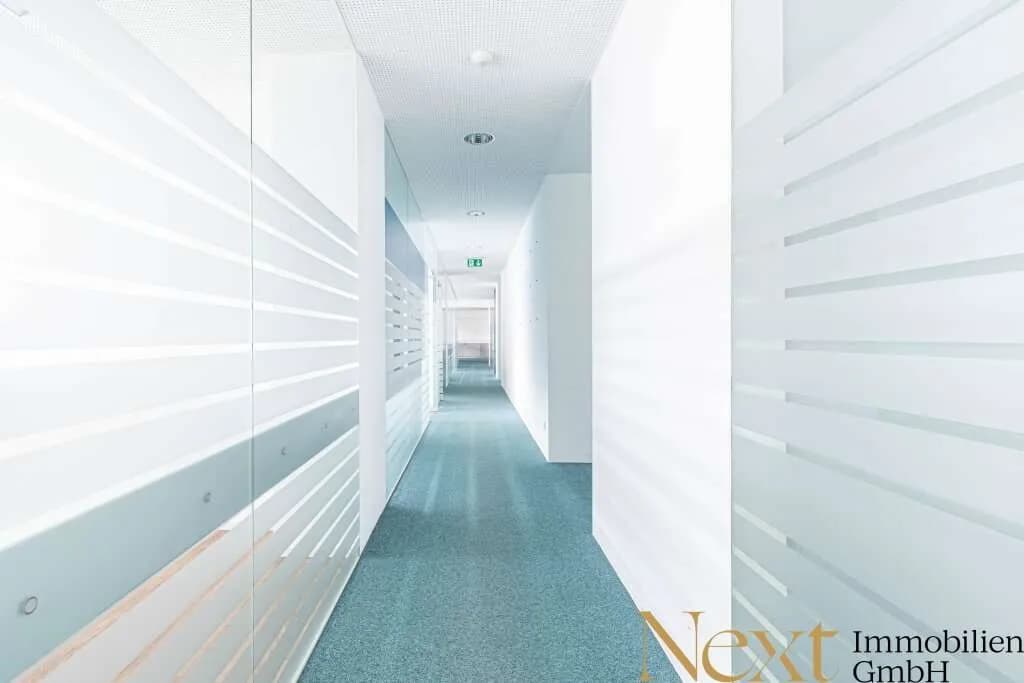 Gewerbeimmobilie mieten in Wels – 502 m², € 6.460 – Bild 10 von 14