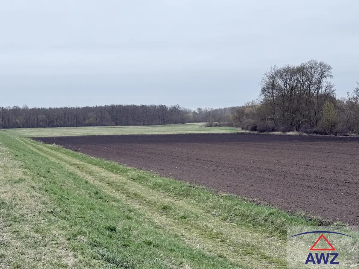 Grundstück kaufen in Gänserndorf – 40 000 m² – Bild 3 von 4