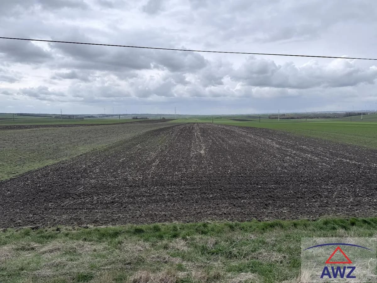 Grundstück kaufen in Gänserndorf – 40 000 m² – Bild 4 von 4