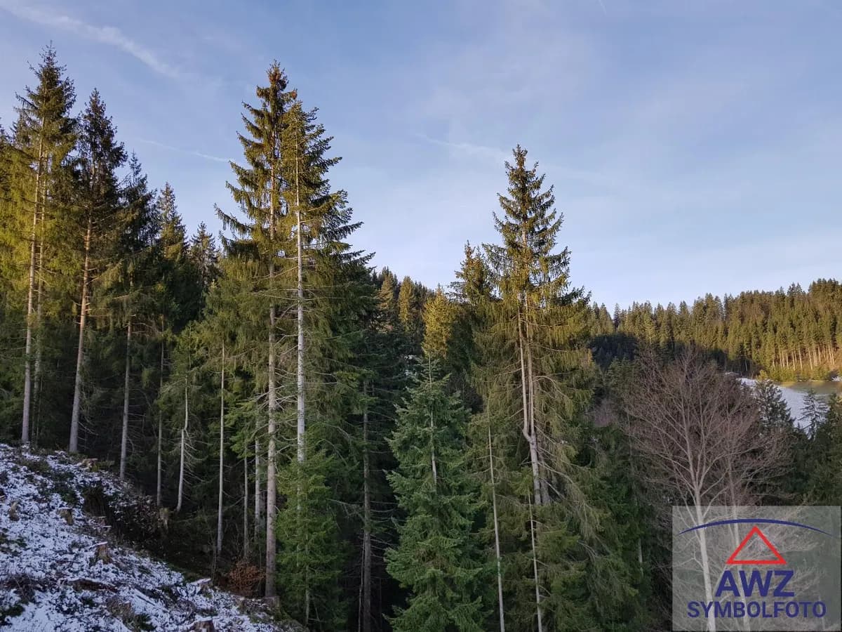 Grundstück kaufen in Neunkirchen – 115 879 m²
