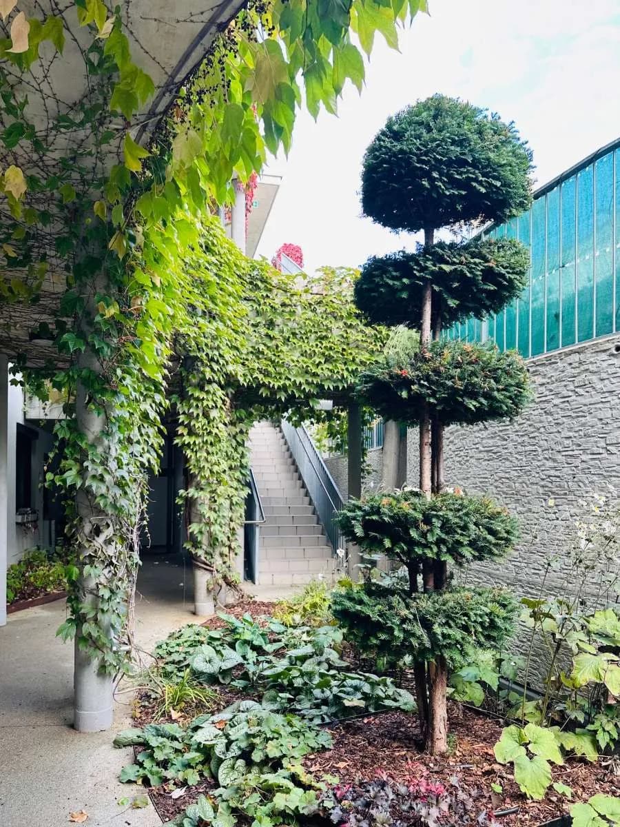 2-Zimmer-Wohnung kaufen in Mödling – 54,56 m², € 267.000 – Bild 5 von 48