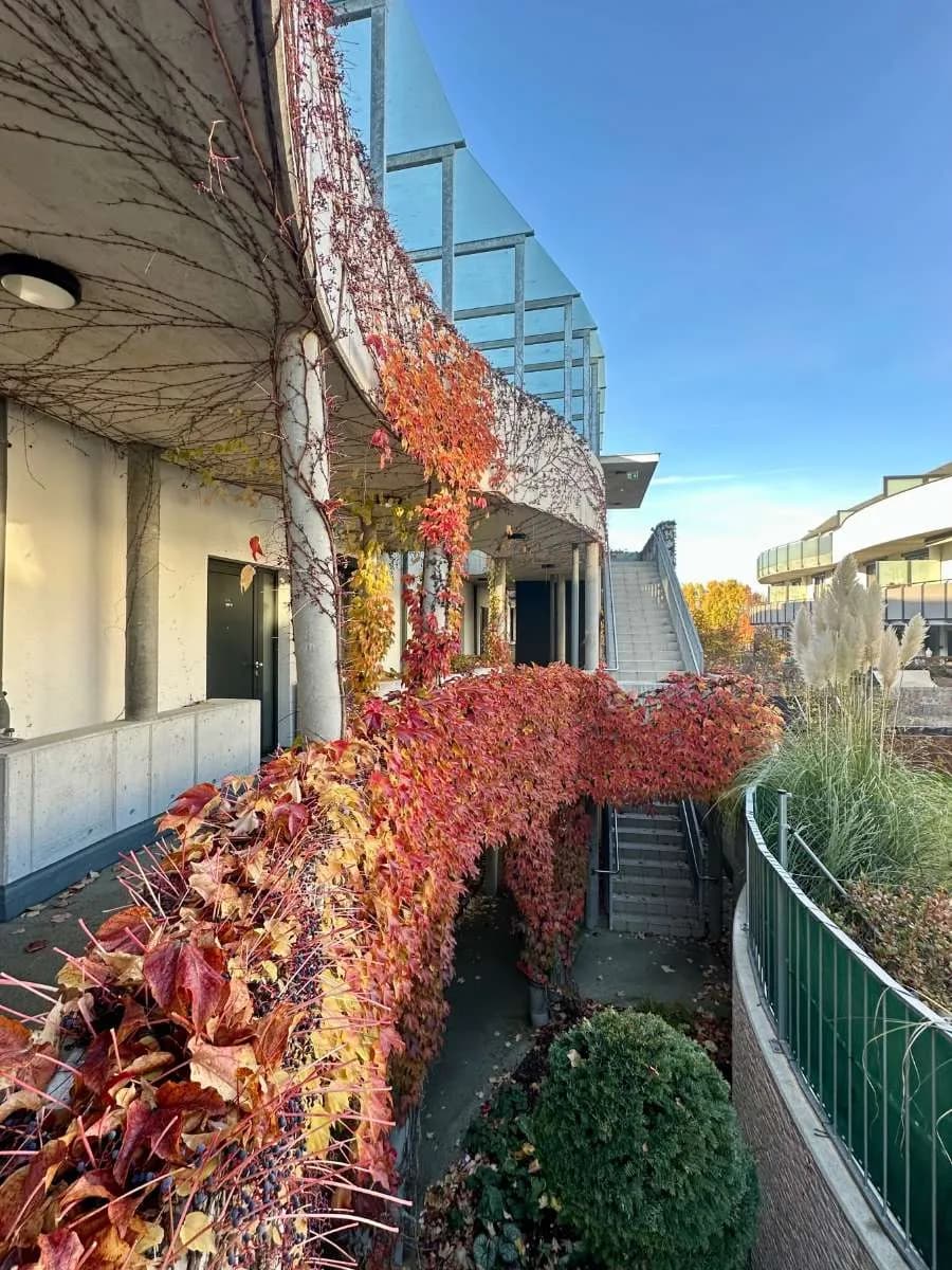 2-Zimmer-Wohnung kaufen in Mödling – 54,56 m², € 267.000 – Bild 35 von 48