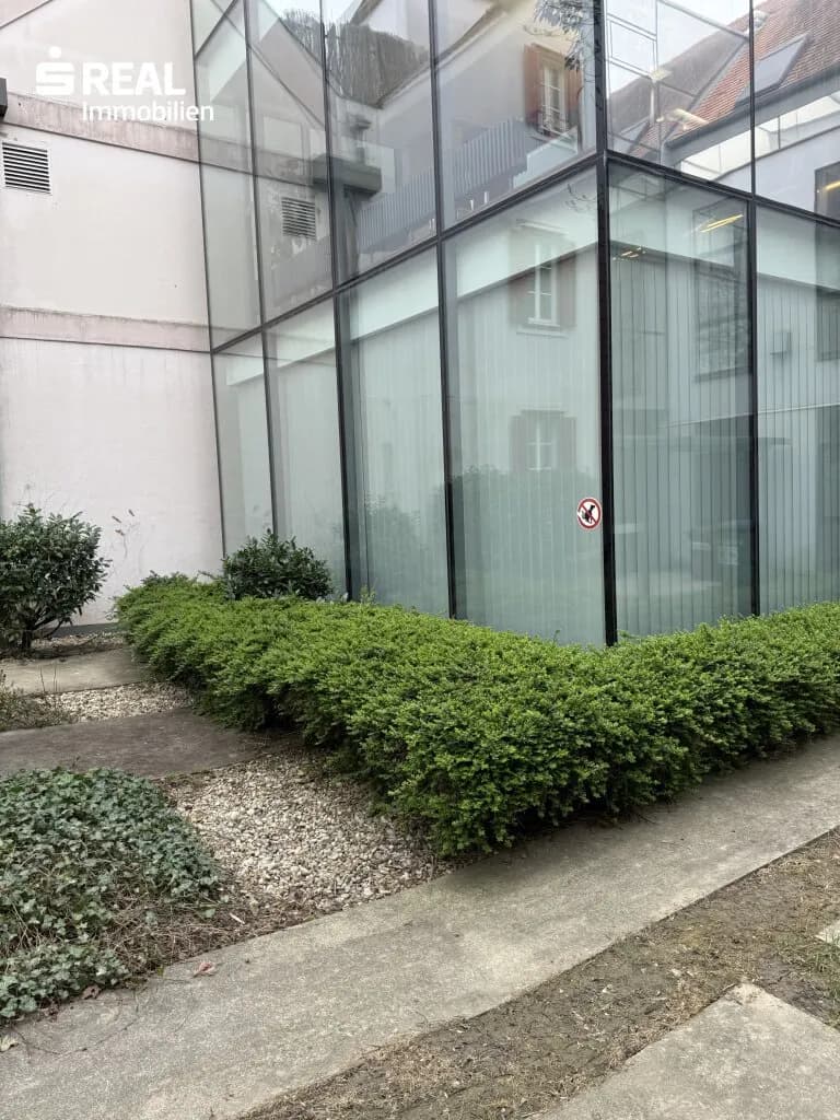 Gewerbeimmobilie mieten in Hartberg-Fürstenfeld – 120 m² – Bild 3 von 12