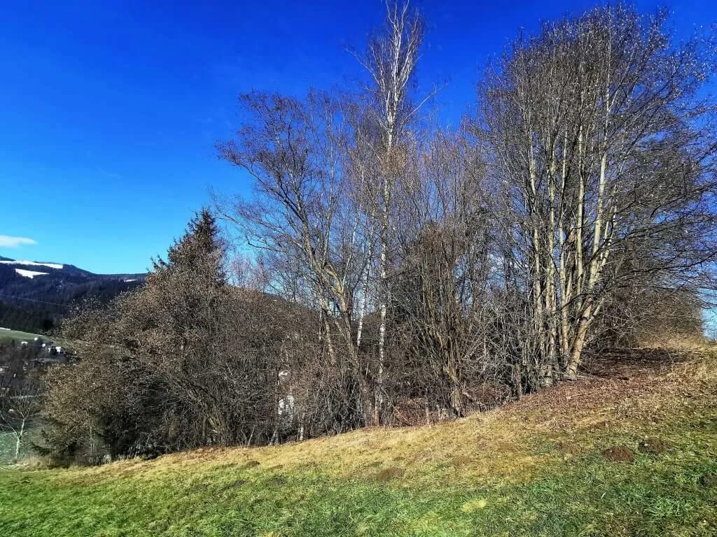 Grundstück kaufen in Bruck-Mürzzuschlag – 5 515 m², € 115.800 – Bild 3 von 8