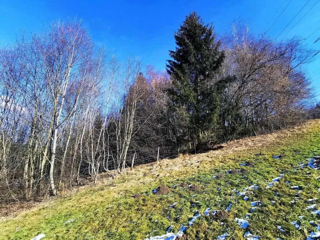 Grundstück kaufen in Bruck-Mürzzuschlag – 5 515 m², € 115.800 – Bild 5 von 8
