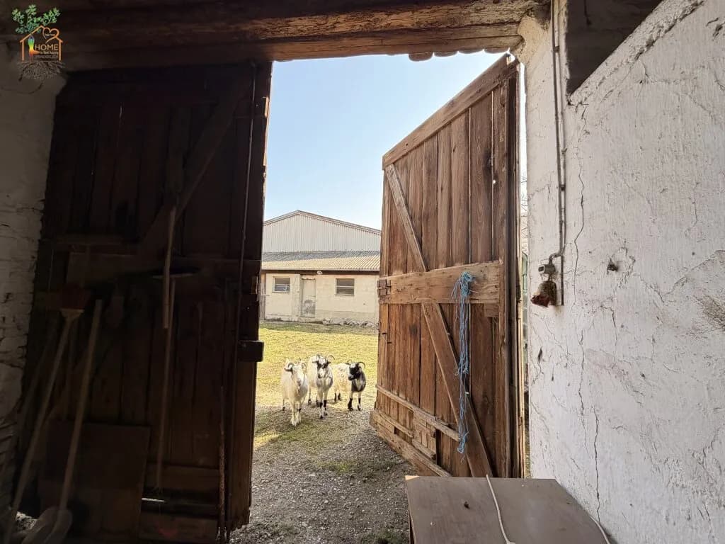Haus kaufen in Hollabrunn – 122 m², € 235.000 – Bild 23 von 35