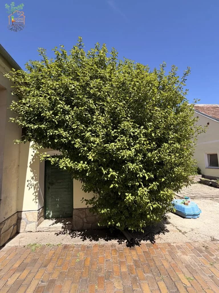 Haus kaufen in Hollabrunn – 122 m², € 235.000 – Bild 30 von 35